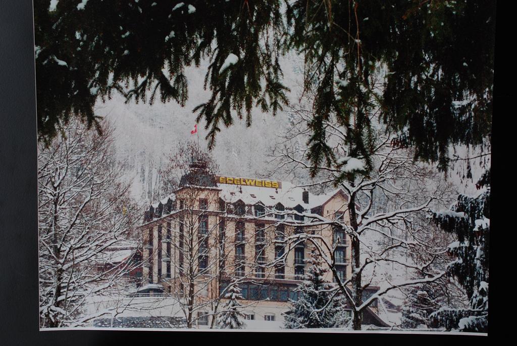 Hotel Edelweiss Engelberg Exterior foto